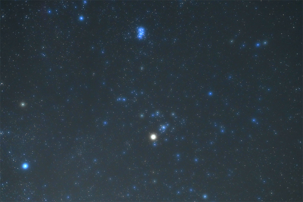 Constelación de Tauro